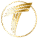 cropped cropped cropped 11.png
